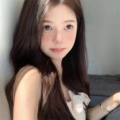 禁宫龙虎斗
