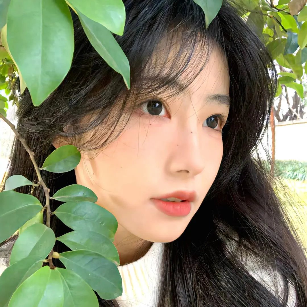 模特儿凶杀案